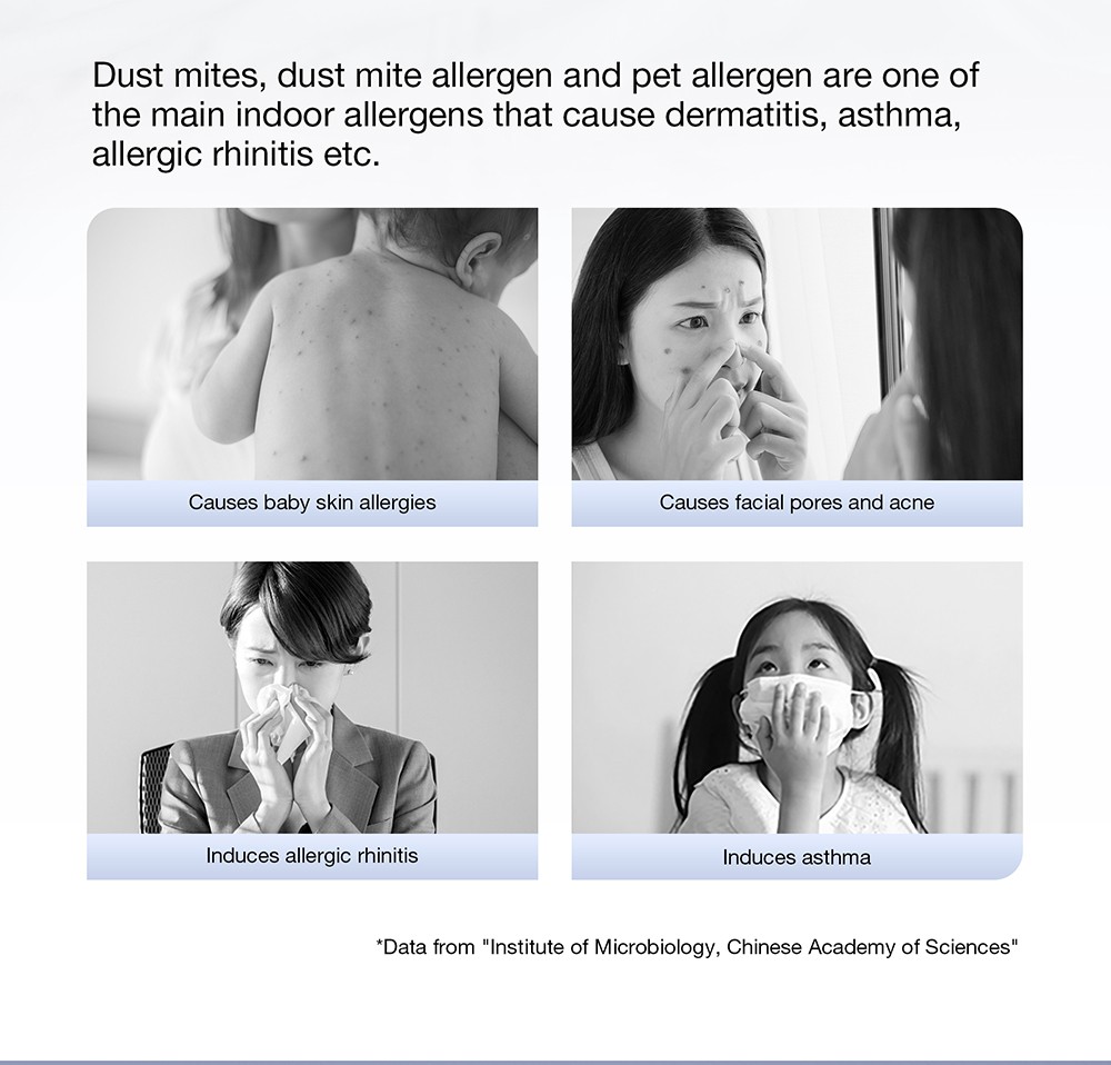 JIMMY BX6 Pro Double Cup Anti-mite Vacuum Cleaner, 245mm Suction Inlet, 0.5L Dust Cup Capacity, Smart Dust Sensor