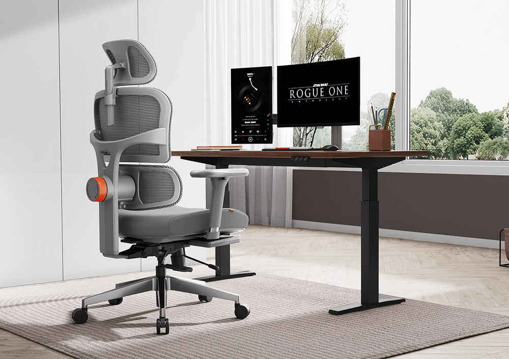 NEWTRAL NT002 Ergonomic Chair, Adaptive Lower Back Support, Adjustable Armrest Headrest Footrest, Gray