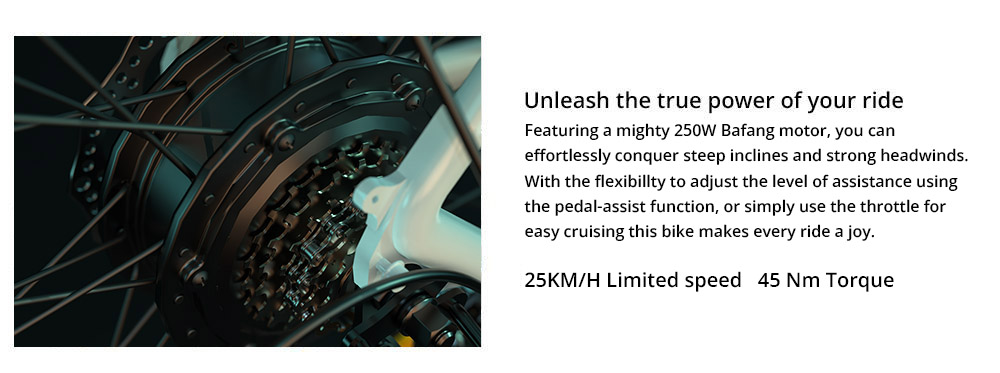 ESKUTE Polluno Plus Electric Commuter Bike 28*1.75 inch Kenda Tire 250W Motor 25km/h Max Speed 36V 20Ah Battery 120km Mileage SHIMANO 7-Speed Mechanical Disc Brakes - Black