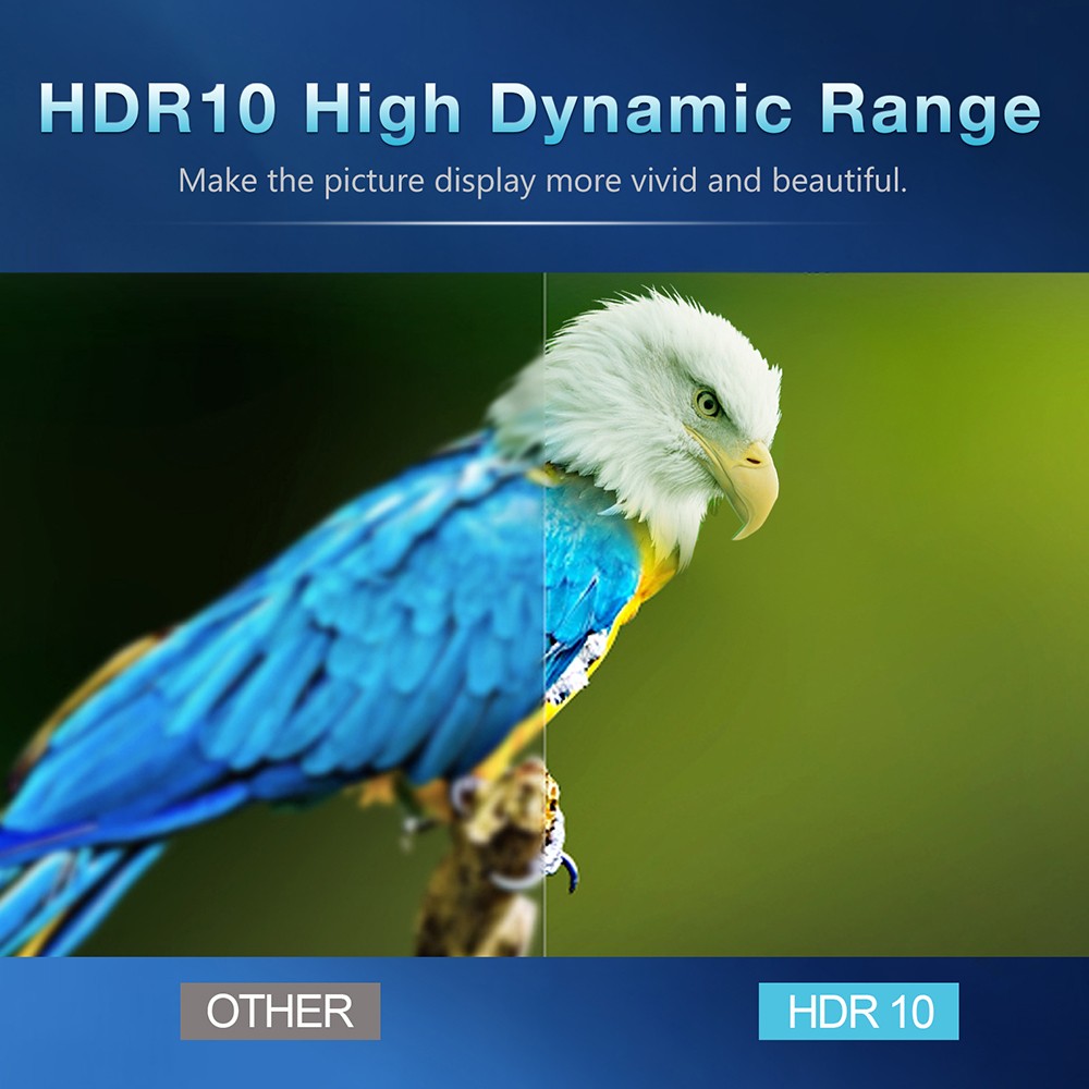 Q1 H313 TV Box, Android TV 10.0, H313 Quadcore, 2GB RAM 16GB ROM, 2.4G/5G WiFi, Bluetooth 5.2, 4K Decoding, HDR10, Smart Voice Control - EU Plug