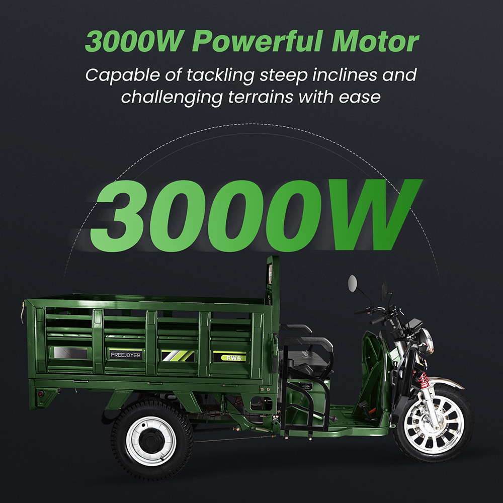 Freejoyer FW5 Electric Cargo Tricycle, 3000W Motor, 72V 58Ah Battery, 45km/h Max Speed, 86km Range, Front Disc Brake & Rear Drum Brake, Front & Rear Shock Absorption - Green