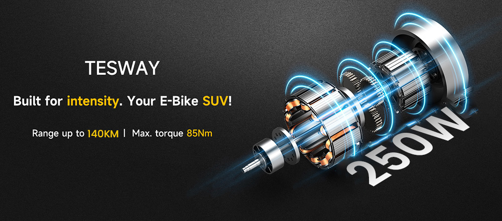 TESWAY X5 Electric Bike, 250W Motor, 48V 25Ah Battery, 20*4.0-inch Tires, 45km/h Max Speed, 140km Range, Mechanical Disc Brakes, Full Suspension, Shimano 7-speed - Black
