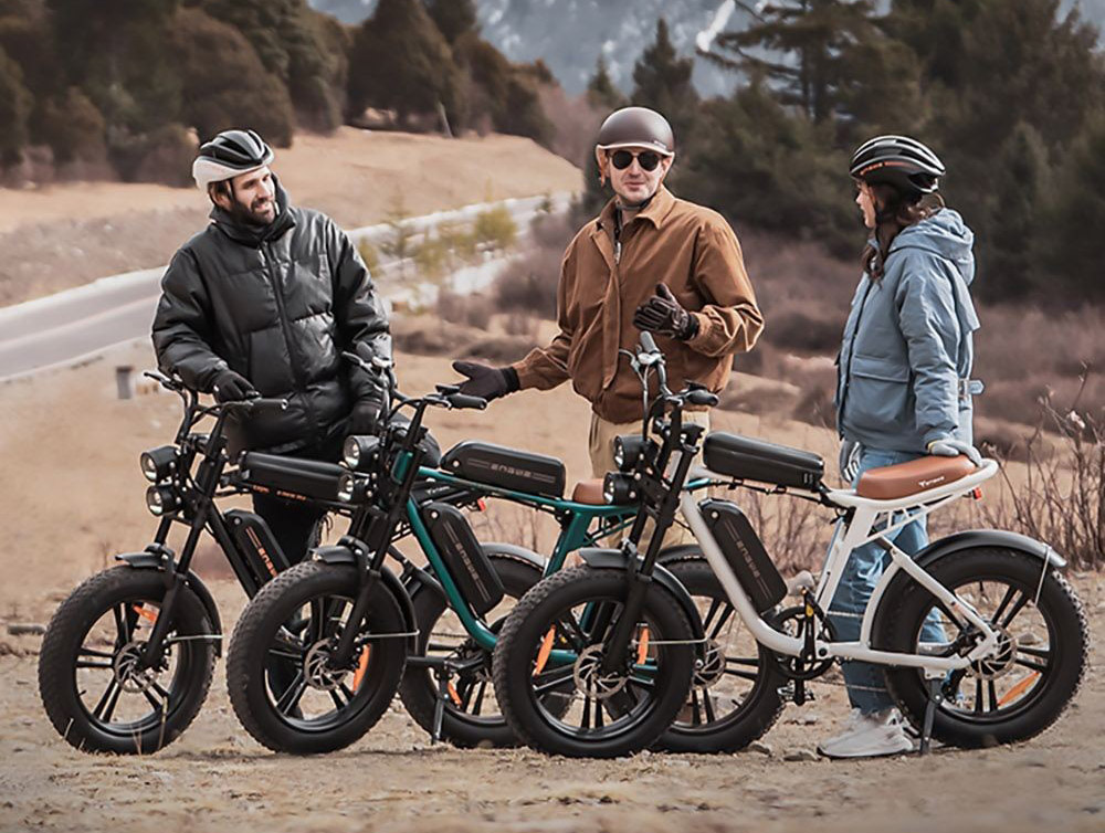 ENGWE M20 Dual Battery Mountain E-Bike 20*4.0 Inch Fat Tires 750W Brushless Motor 45km/h Max Speed 48V 2*13Ah Batteries Front & Rear Disc Brakes Shimano 7-Speed Gear - Black