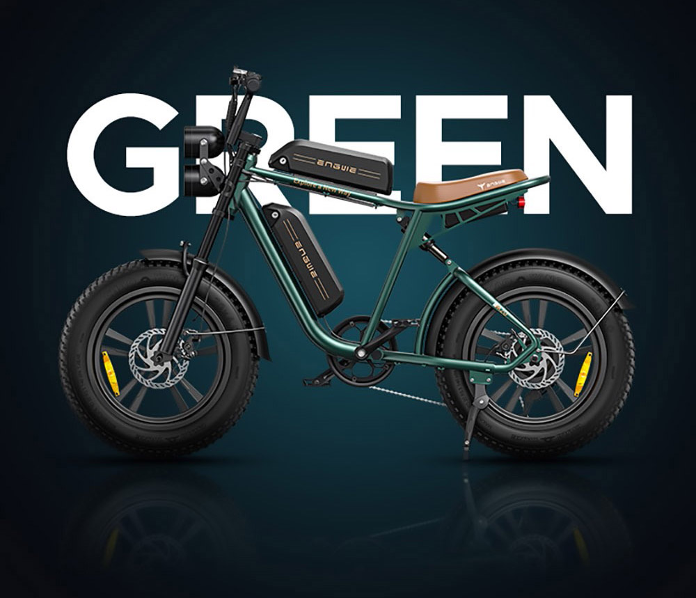 ENGWE M20 Dual Battery Mountain E-Bike 20*4.0 Inch Fat Tires 750W Brushless Motor 45km/h Max Speed 48V 2*13Ah Batteries Front & Rear Disc Brakes Shimano 7-Speed Gear - Black