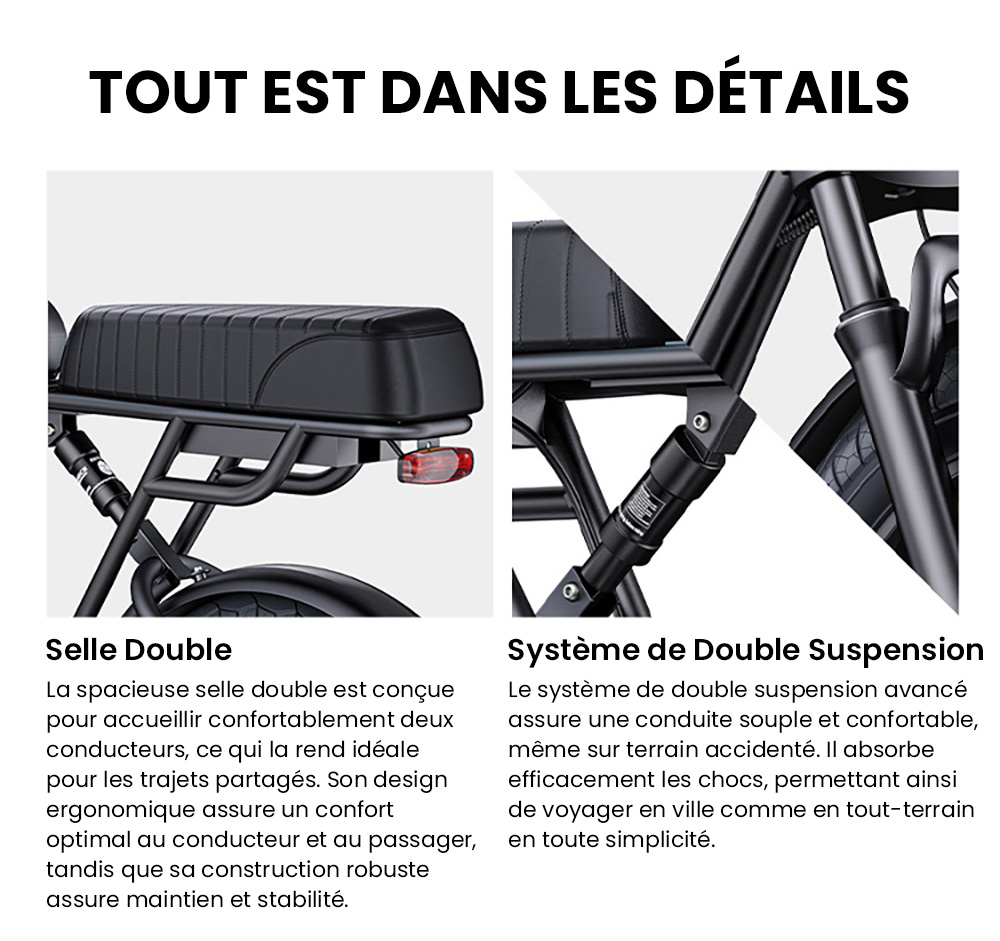 ENGWE M1 Vélo électrique, moteur 250 W, batterie 48 V 15,6 Ah, pneus larges 20 x 4,0 pouces, vitesse maximale 25 km/h, autonomie 90 km, freins à disque hydrauliques, double suspension, Shimano 7 vitesses, écran LCD - Noir