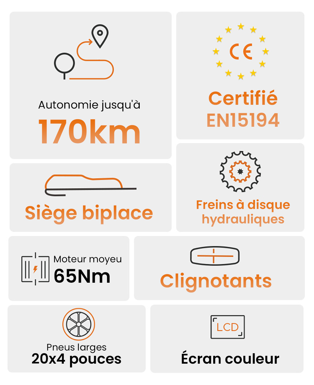 ENGWE M1 Vélo électrique, moteur 250 W, batterie 48 V 15,6 Ah, pneus larges 20 x 4,0 pouces, vitesse maximale 25 km/h, autonomie 90 km, freins à disque hydrauliques, double suspension, Shimano 7 vitesses, écran LCD - Noir