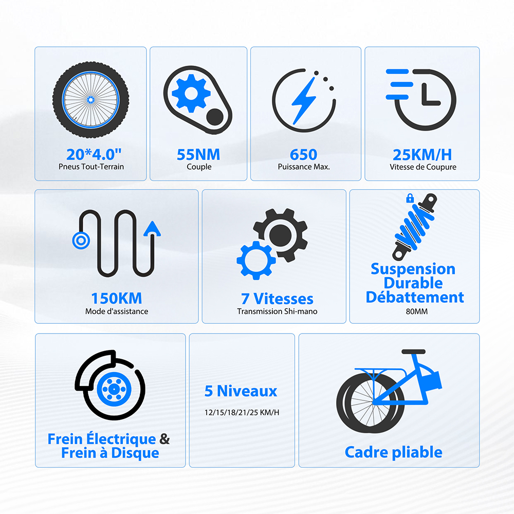 Vélo électrique Touroll S2, puissance maximale de 650 W, batterie 48 V 15 Ah, pneu 20 x 4,0 pouces, vitesse maximale de 25 km/h, autonomie maximale de 150 km, frein à disque mécanique et frein électrique, amortisseur mécanique, Shimano 7 vitesses