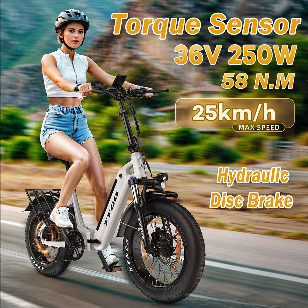 TTGO F6 Electric Bike, 250W Motor, 36V 25Ah Battery, 20*4 inch Tires, 25km/h Max Speed, 130km Max Range, Hydraulic Disc Brake, Front Shock Absorber, Torque Sensor, Shimano 7-speed, LCD Display - Grey
