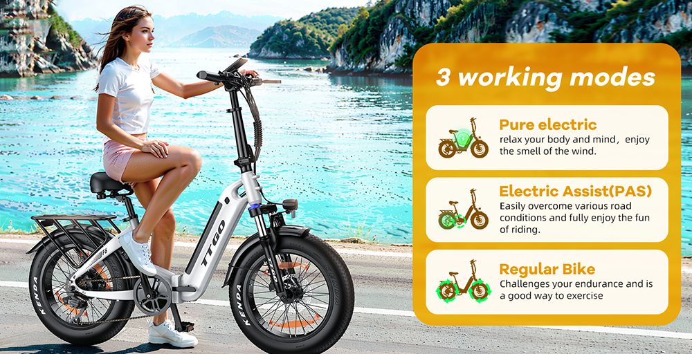 TTGO F6 Electric Bike, 250W Motor, 36V 25Ah Battery, 20*4 inch Tires, 25km/h Max Speed, 130km Max Range, Hydraulic Disc Brake, Front Shock Absorber, Torque Sensor, Shimano 7-speed, LCD Display - Grey