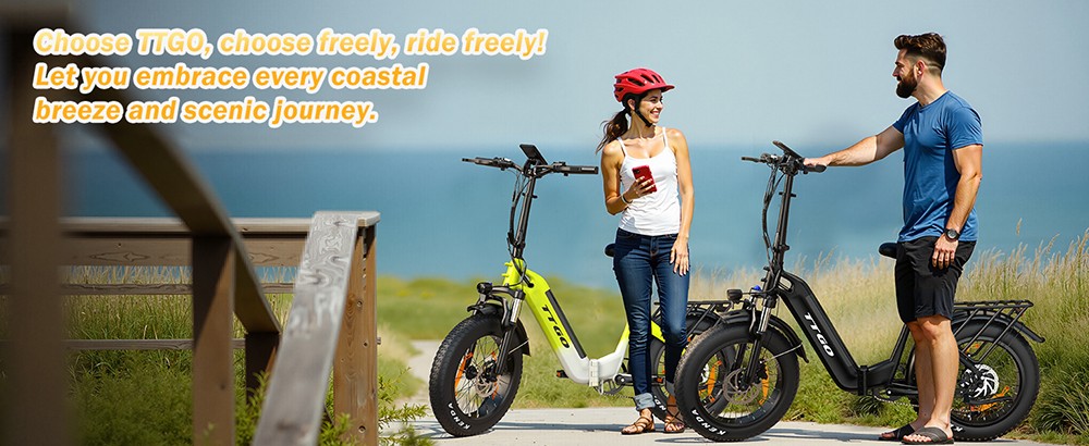 TTGO F6 Electric Bike, 250W Motor, 36V 25Ah Battery, 20*4 inch Tires, 25km/h Max Speed, 130km Max Range, Hydraulic Disc Brake, Front Shock Absorber, Torque Sensor, Shimano 7-speed, LCD Display - Grey