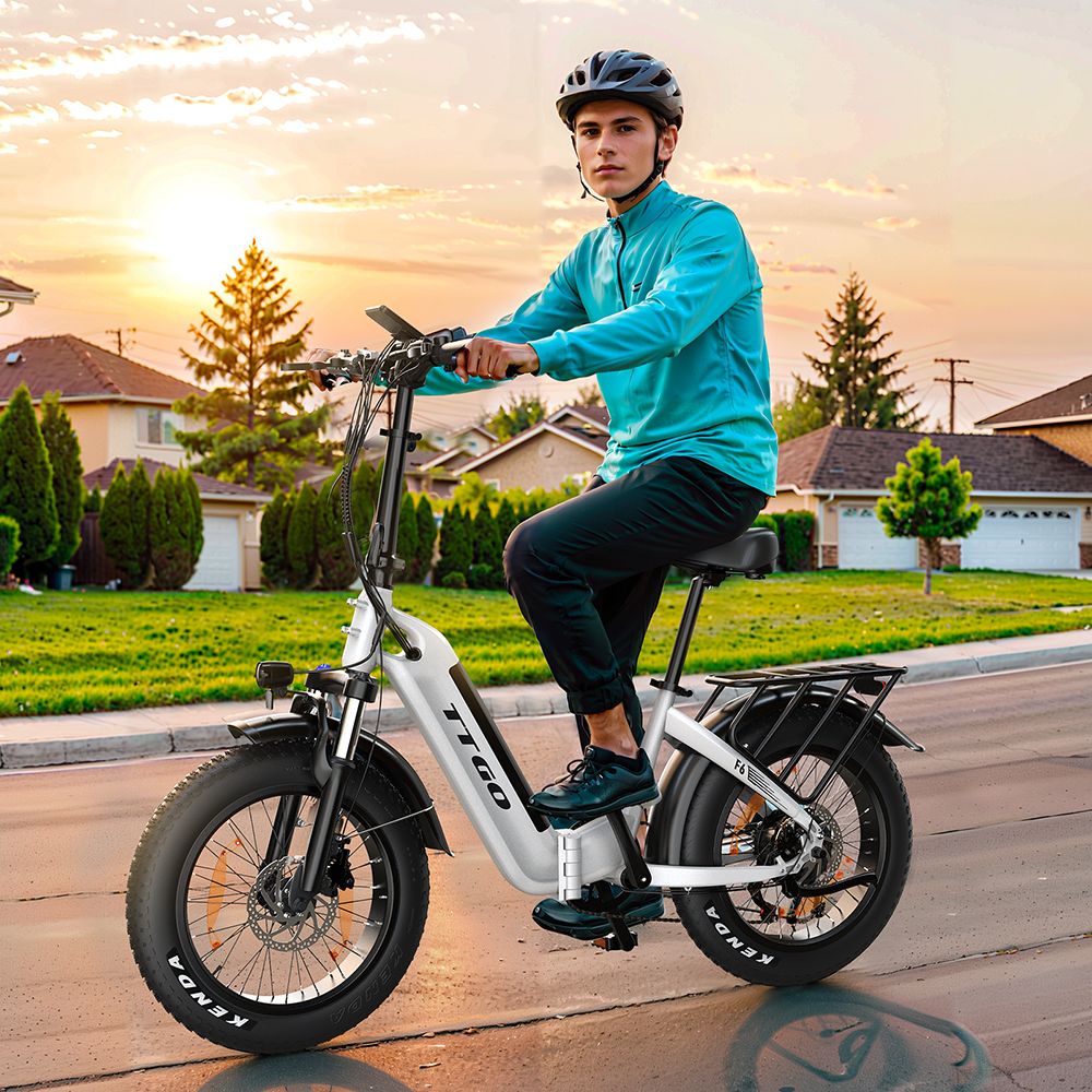 TTGO F6 Electric Bike, 250W Motor, 36V 25Ah Battery, 20*4 inch Tires, 25km/h Max Speed, 130km Max Range, Hydraulic Disc Brake, Front Shock Absorber, Torque Sensor, Shimano 7-speed, LCD Display - Grey