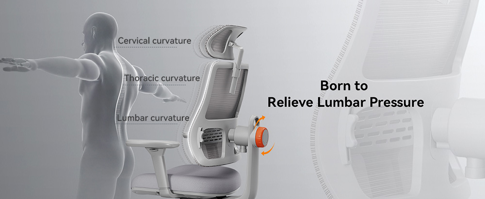 NEWTRAL MAGICH003 Ergonomischer Bürostuhl, automatisch mitlaufende Rückenlehne, adaptive Unterstützung des unteren Rückens, verstellbare Kopfstütze, grau