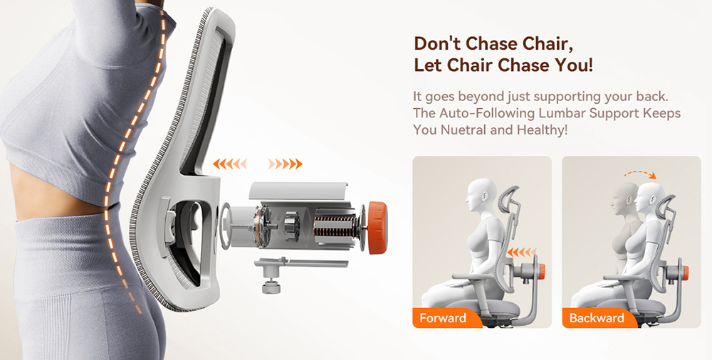 NEWTRAL MAGICH003 Ergonomischer Bürostuhl, automatisch mitlaufende Rückenlehne, adaptive Unterstützung des unteren Rückens, verstellbare Kopfstütze, grau
