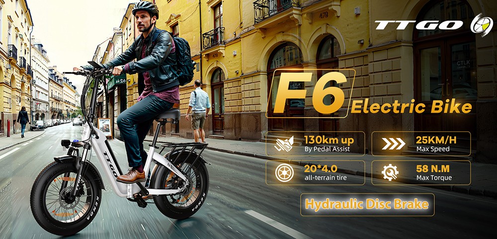 TTGO F6 Electric Bike, 250W Motor, 36V 25Ah Battery, 20*4 inch Tires, 25km/h Max Speed, 130km Max Range, Hydraulic Disc Brake, Front Shock Absorber, Torque Sensor, Shimano 7-speed, LCD Display - Grey