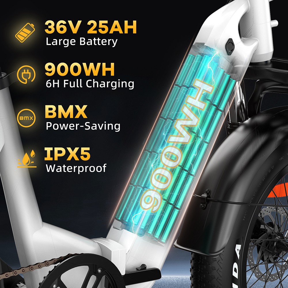 TTGO F6 Electric Bike, 250W Motor, 36V 25Ah Battery, 20*4 inch Tires, 25km/h Max Speed, 130km Max Range, Hydraulic Disc Brake, Front Shock Absorber, Torque Sensor, Shimano 7-speed, LCD Display - Grey