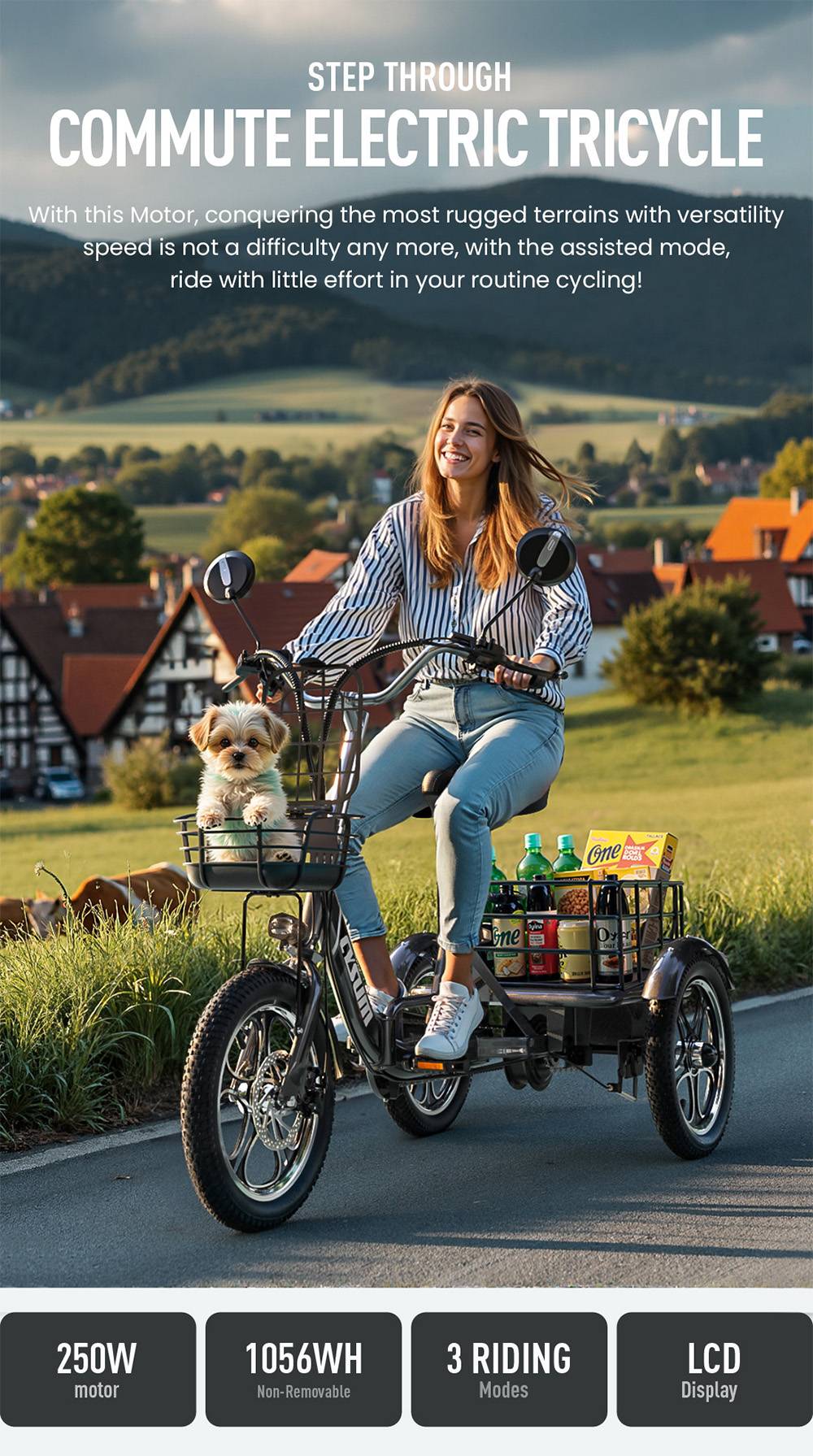 Cysum T1 Pro Elektro-Dreirad, 250-W-Motor, 48-V-22-Ah-Akku, 16 x 2,3-Zoll-Reifen, 25 km/h Höchstgeschwindigkeit, 150 km maximale Reichweite, Scheibenbremsen, LCD-Display