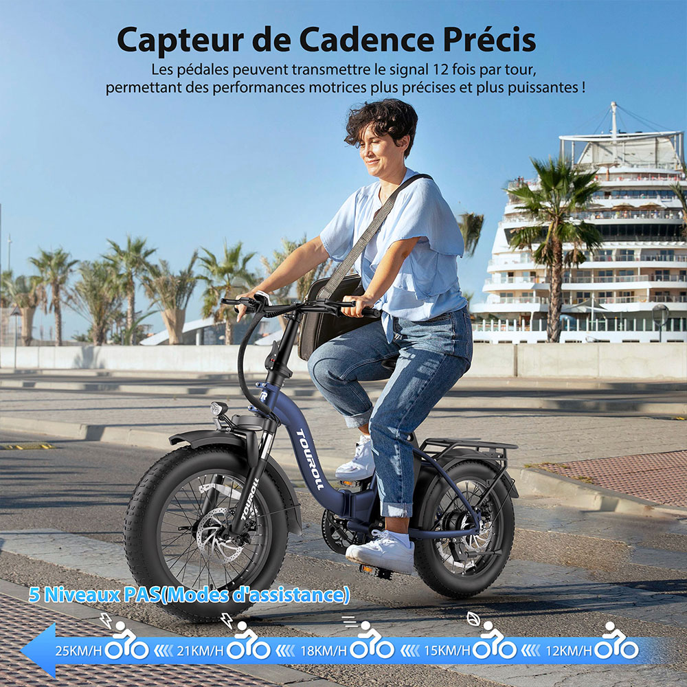 Touroll S2 Vélo électrique, puissance maximale de 650 W, batterie 48 V 15 Ah, pneu 20 x 4,0 pouces, vitesse maximale de 25 km/h, autonomie maximale de 150 km, frein à disque mécanique et frein électrique, amortisseur mécanique, Shimano 7 vitesses