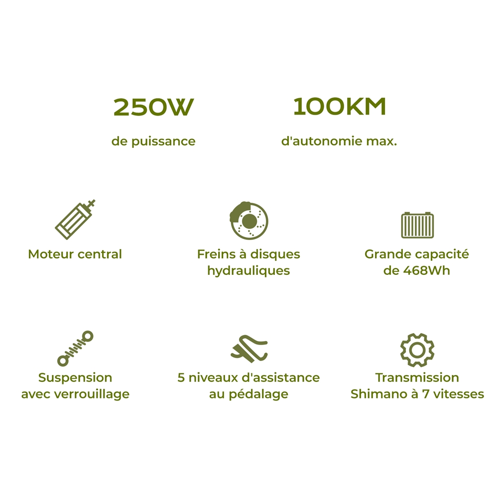 Eleglide C2 Vélo électrique, moteur central 250 W, batterie 36 V 13 Ah, pneus 26 pouces, vitesse maximale 25 km/h, autonomie 100 km, freins à disque hydrauliques, suspension avec blocage, transmission Shimano 7 vitesses