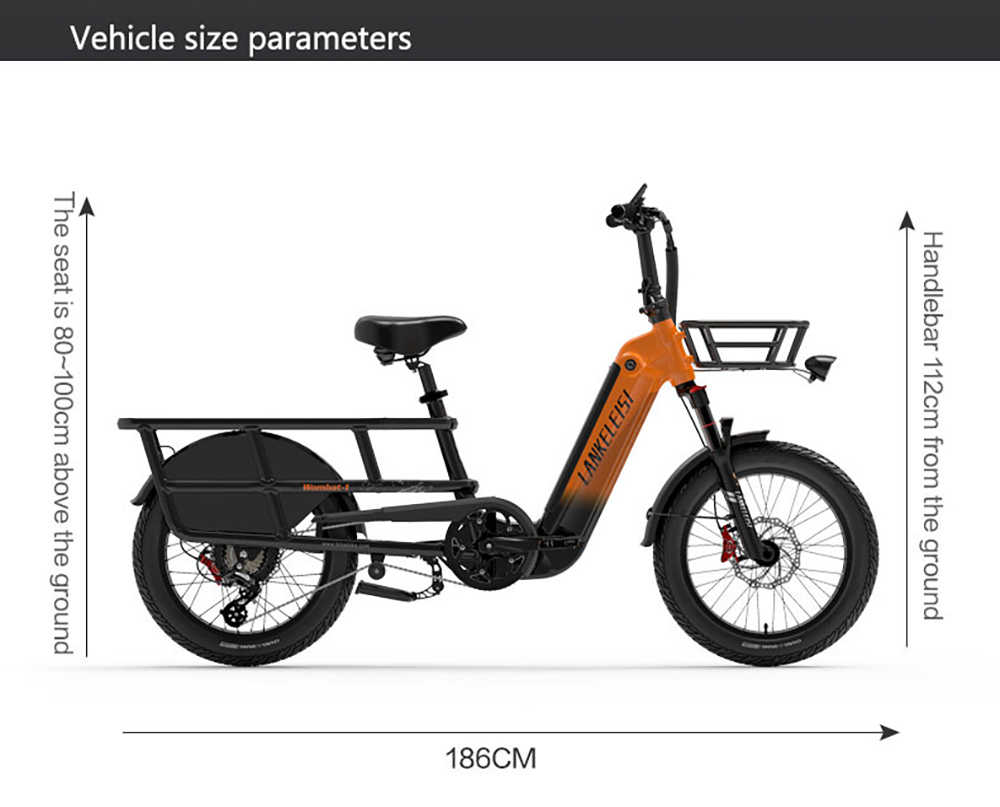 LANKELEISI Wombat-1 Cargo-Elektrofahrrad, 1000-W-Motor, 48-V-20-Ah-Akku, 20 x 3,0-Zoll-Reifen, 46 km/h Höchstgeschwindigkeit, 150 km Reichweite, hydraulische Scheibenbremse, Vorderradfederung mit Ölfeder, Shimano 7-Gang-Schaltung – Grau