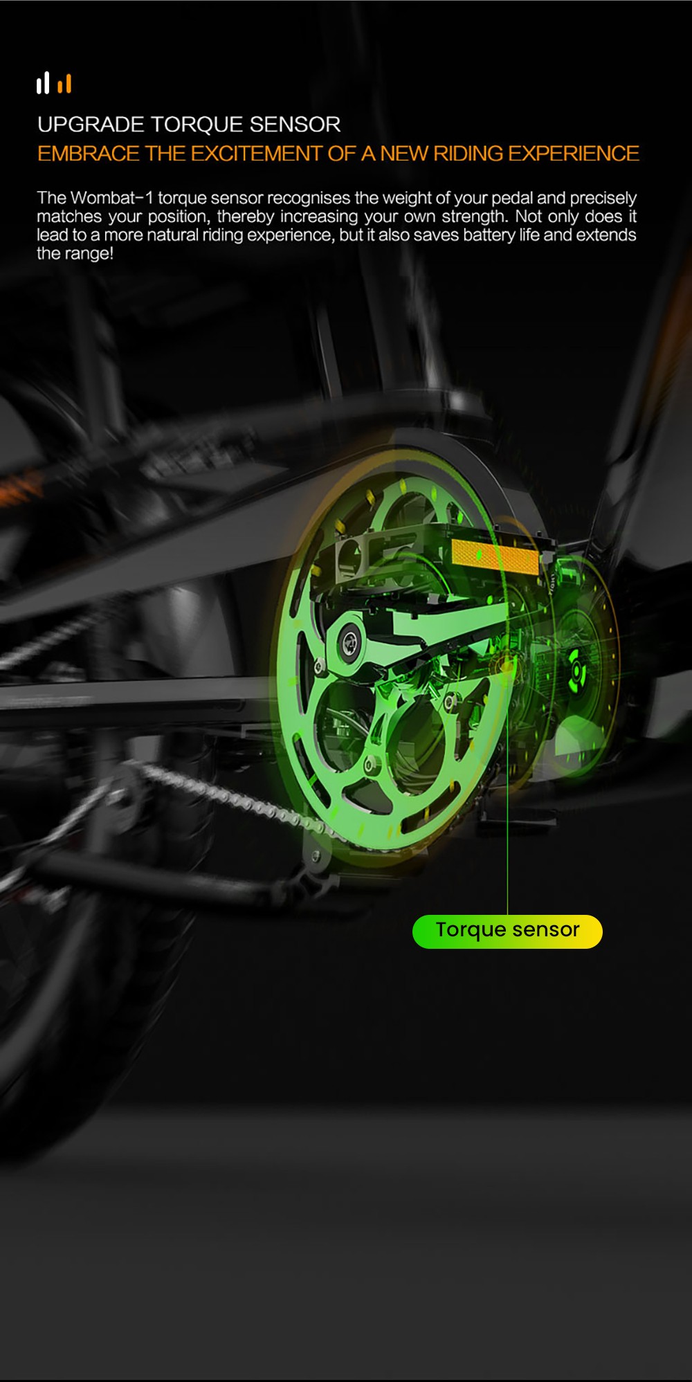 LANKELEISI Wombat-1 Cargo-Elektrofahrrad, 1000-W-Motor, 48-V-20-Ah-Akku, 20 x 3,0-Zoll-Reifen, 46 km/h Höchstgeschwindigkeit, 150 km Reichweite, hydraulische Scheibenbremse, Vorderradfederung mit Ölfeder, Shimano 7-Gang-Schaltung – Grau