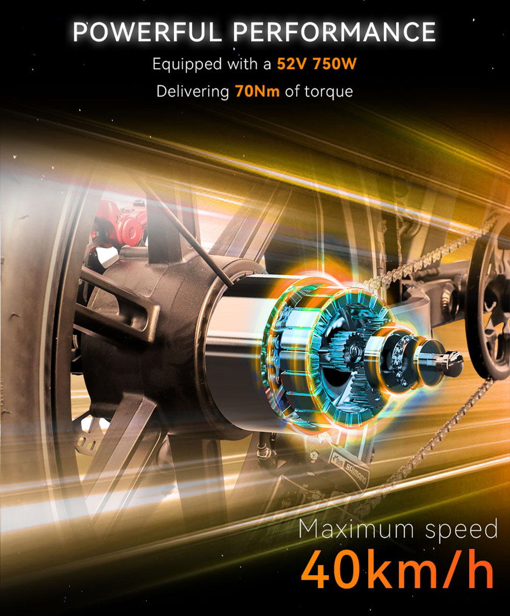 DUOTTS F20 Electric Bike 750W Motor 52V 27Ah Battery 20*4.0 Inch Fat Tire 50km/h Max Speed up to 120km Range with Full Suspension, Spring Shock Absorption, Hydraulic Disc Brakes - Black