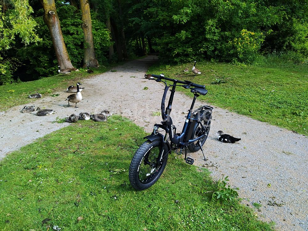 Touroll S2 Elektrofahrrad, 650 W max. Leistung, 48 V 15 Ah Akku, 20 x 4,0 Zoll Reifen, 25 km/h Max. Geschwindigkeit, 150 km max. Reichweite, mechanische Scheibenbremse & E-Bremse, mechanischer Stoßdämpfer, Shimano 7-Gang-Getriebe
