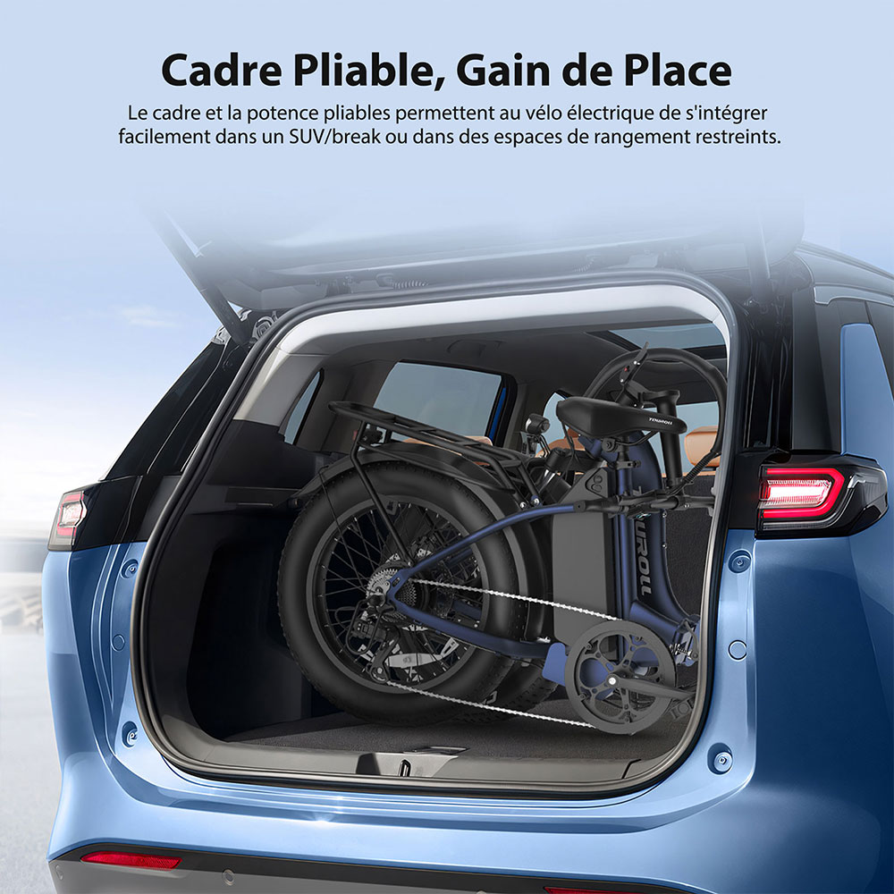 Touroll S2 Vélo électrique, puissance maximale de 650 W, batterie 48 V 15 Ah, pneu 20 x 4,0 pouces, vitesse maximale de 25 km/h, autonomie maximale de 150 km, frein à disque mécanique et frein électrique, amortisseur mécanique, Shimano 7 vitesses