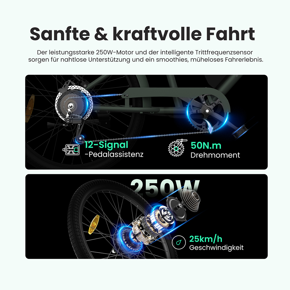 Touroll B2 Elektrofahrrad, 250 W Motor, 36 V 15,6 Ah Akku, 26 x 2,25 Zoll Reifen, 25 km/h Höchstgeschwindigkeit, 100 km Reichweite, Scheibenbremse und E-Bremse, Shimano 7-Gang-Getriebe, LED-Display