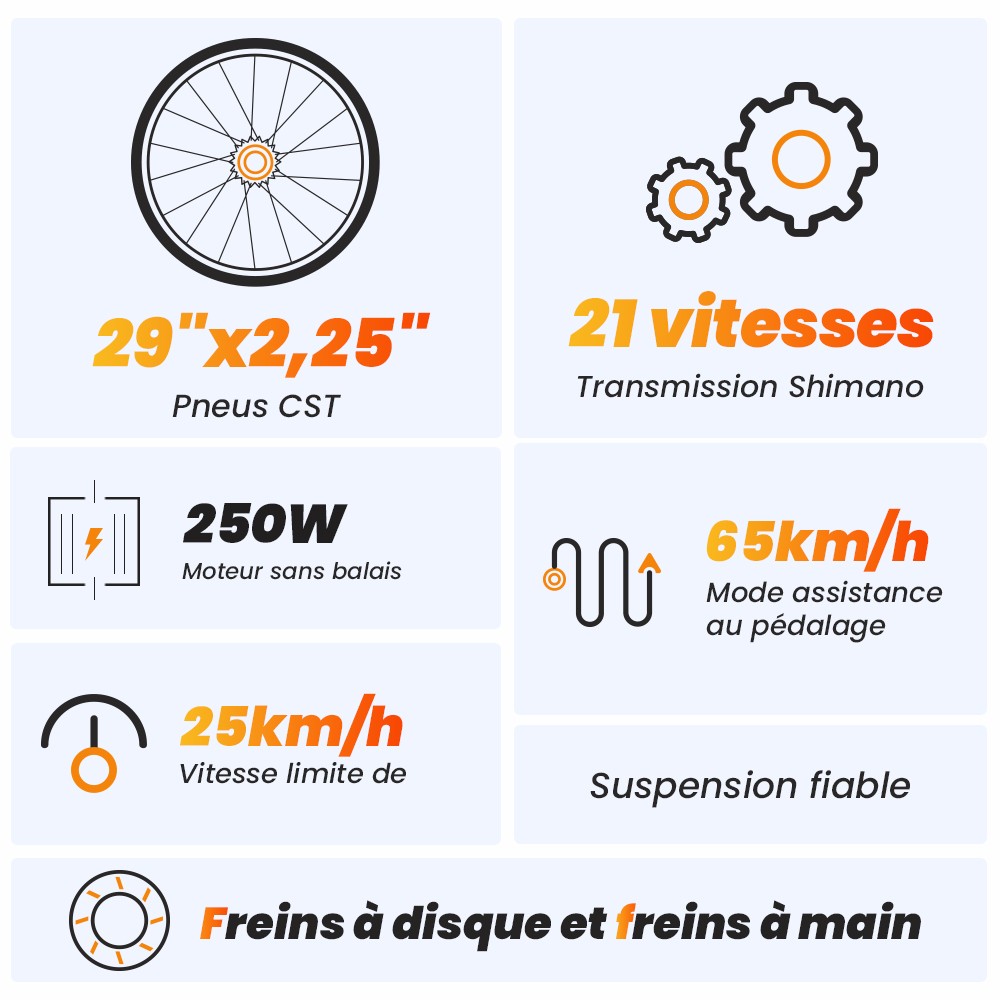 Touroll U1 Vélo électrique, 29 VTT, avec moteur 250W, batterie lithium-ion amovible 13Ah, distance de déplacement maximale de 65KM, pneus tout-terrain 29x2.25'' CST, vitesses Shimano 21 vitesses