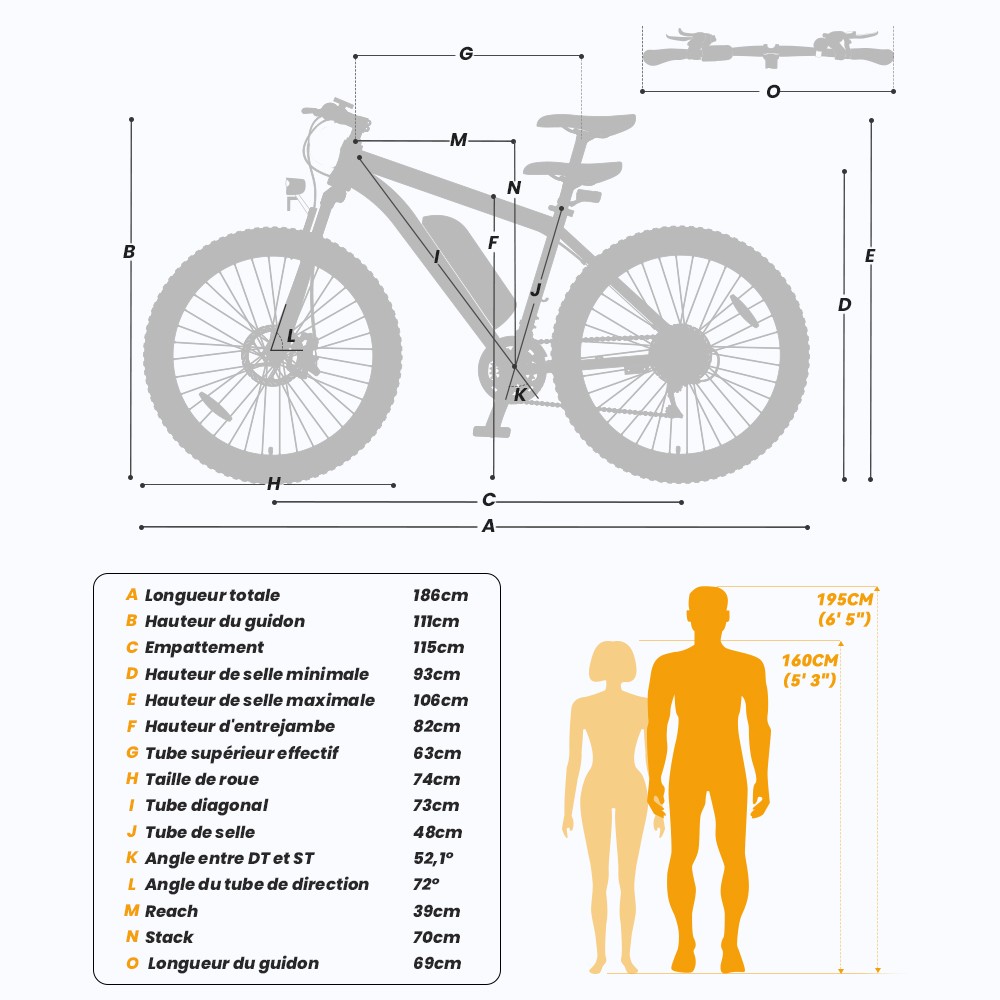 Touroll U1 Vélo électrique, 29 VTT, avec moteur 250W, batterie lithium-ion amovible 13Ah, distance de déplacement maximale de 65KM, pneus tout-terrain 29x2.25'' CST, vitesses Shimano 21 vitesses