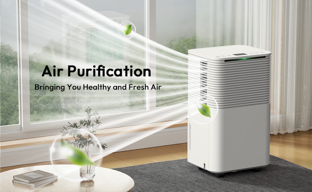 LUKO D031A 12L/Day Dehumidifier with Air Purification, 2L Tank, 24H Timer, Sleep Mode, Auto Defrost, Child Lock, for Home & Drying Clothes