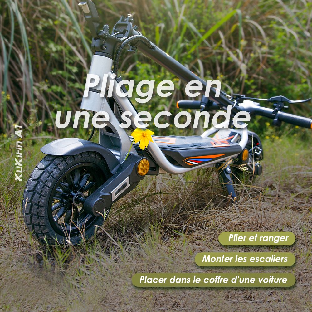 Kukirin A1 Trottinette électrique pliable, moteur 800 W, batterie 48 V 13 Ah, pneu à vide de 10 pouces, vitesse maximale de 45 km/h, autonomie de 45 km, freins à disque avant et arrière, amortisseurs avant et arrière
