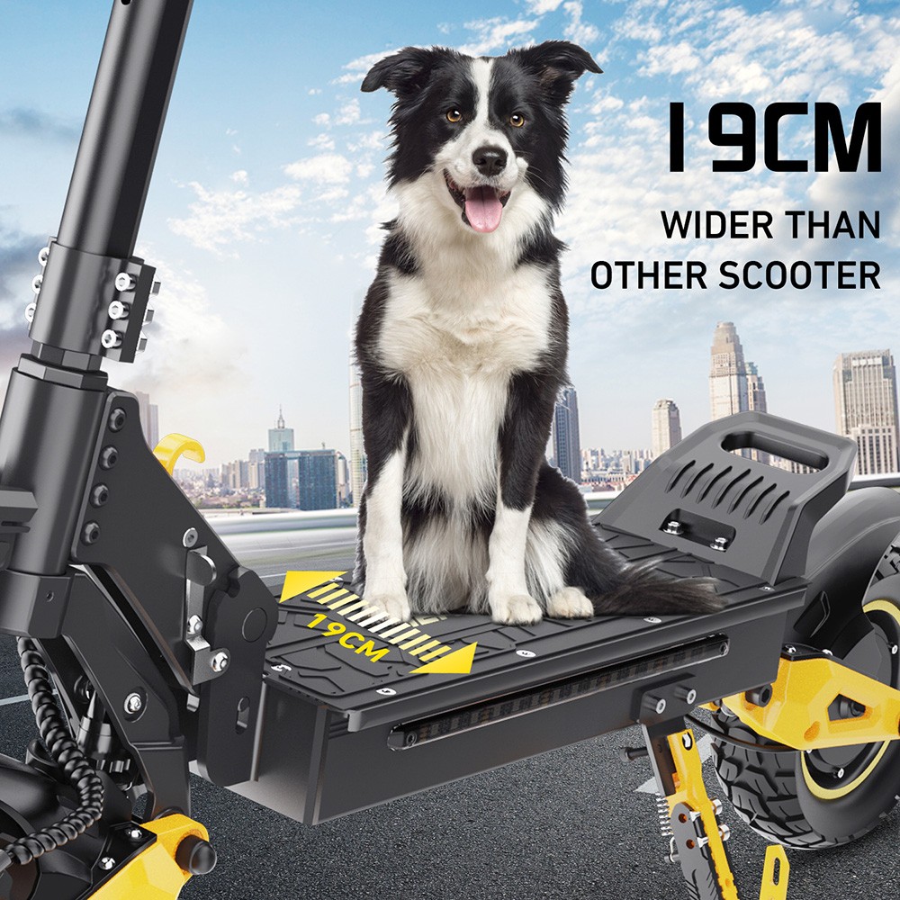 iENYRID ES1 Electric Scooter, 250W*2 Motor, 48V 20.8Ah Battery, 10 inch Off-Road Tires, 25km/h Max Speed, 60km Range, Dual Disc Brakes, Front & Rear Hydraulic Spring Suspension, Cruise Control