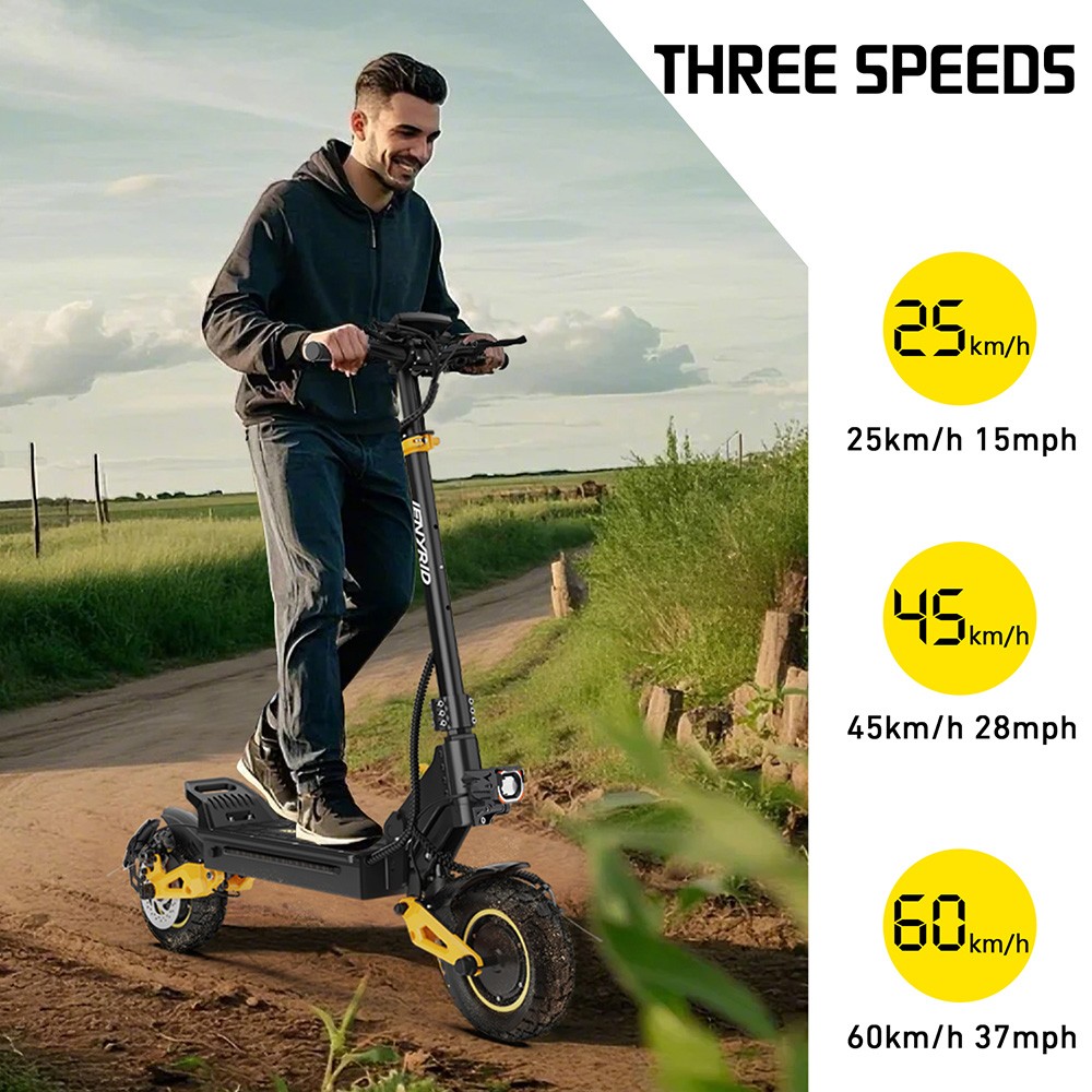 iENYRID ES1 Trottinette électrique, moteur 250 W x 2, batterie 48 V 20,8 Ah, pneus tout-terrain 10 pouces, vitesse maximale 25 km/h, autonomie 60 km, freins à double disque, suspension à ressort hydraulique avant et arrière, régulateur de vitesse