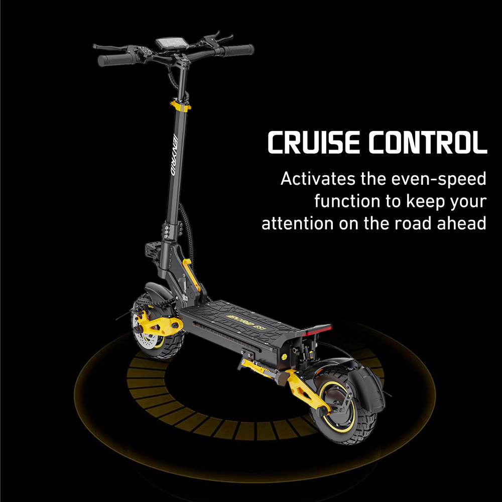 iENYRID ES1 Trottinette électrique, moteur 250 W x 2, batterie 48 V 20,8 Ah, pneus tout-terrain 10 pouces, vitesse maximale 25 km/h, autonomie 60 km, freins à double disque, suspension à ressort hydraulique avant et arrière, régulateur de vitesse