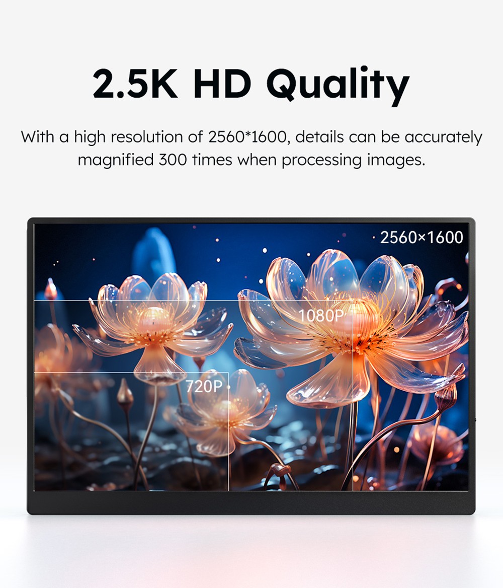 AOSIMAN P156QCC 15.6 inch Portable Monitor, 2560*1600, 100% sRGB, Dual Speakers, 1000:1 Contrast, 60Hz Refresh Rate, 2*Type-C, 1*Mini HDMI, 1*Headphone Jack
