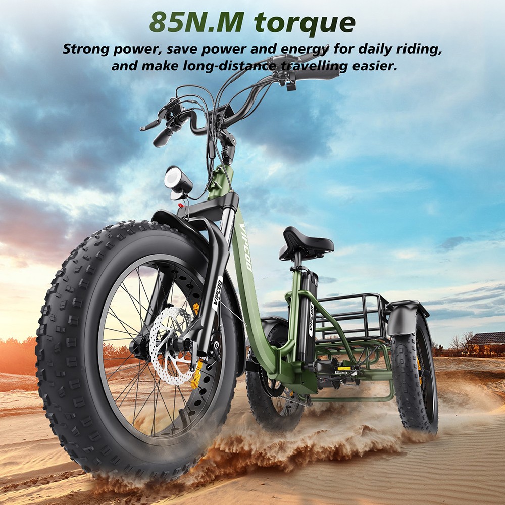 Vipcoo VC-ET1 Electric Tricycle, 750W Motor, 48V 20Ah Battery, 20*4.0 inch Tires, 40km/h Max Speed, 65km Range, Mechanical Disc Brakes, Front Fork Suspension, 7-speed Transmission, LCD Display