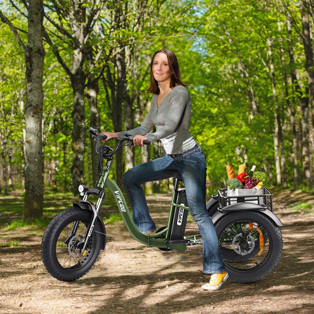 Vipcoo VC-ET1 Electric Tricycle, 750W Motor, 48V 20Ah Battery, 20*4.0 inch Tires, 40km/h Max Speed, 65km Range, Mechanical Disc Brakes, Front Fork Suspension, 7-speed Transmission, LCD Display