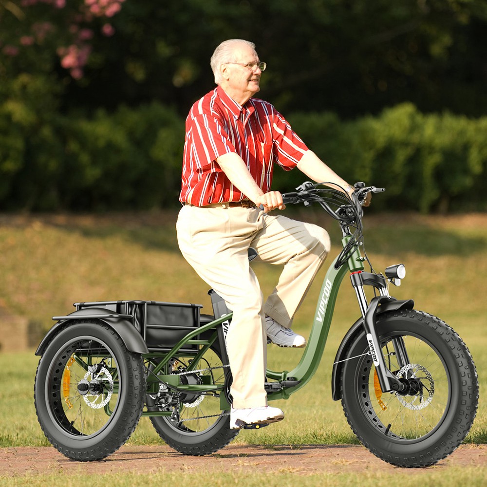 Vipcoo VC-ET1 Electric Tricycle, 750W Motor, 48V 20Ah Battery, 20*4.0 inch Tires, 40km/h Max Speed, 65km Range, Mechanical Disc Brakes, Front Fork Suspension, 7-speed Transmission, LCD Display