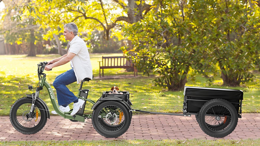 Vipcoo VC-ET1 Electric Tricycle, 750W Motor, 48V 20Ah Battery, 20*4.0 inch Tires, 40km/h Max Speed, 65km Range, Mechanical Disc Brakes, Front Fork Suspension, 7-speed Transmission, LCD Display