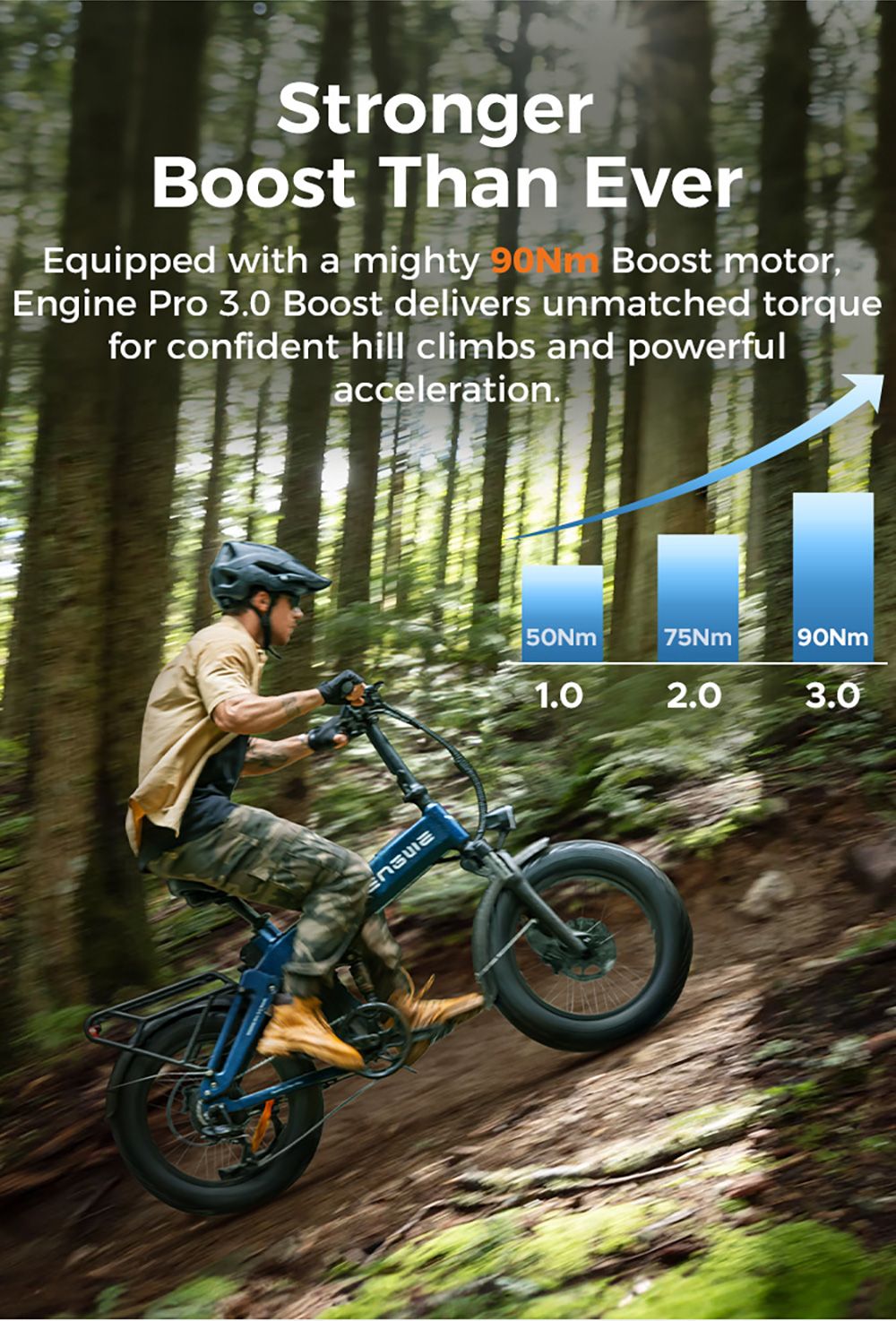 ENGWE Pro 3.0 Boost Electric Bike, 250W Motor, 48V 15Ah Battery, 20*4.0 inch Tires, 130km Range, Hydraulic Brake, Full Suspension, Shimano 7-speed, Torque Sensor, App Control - Black