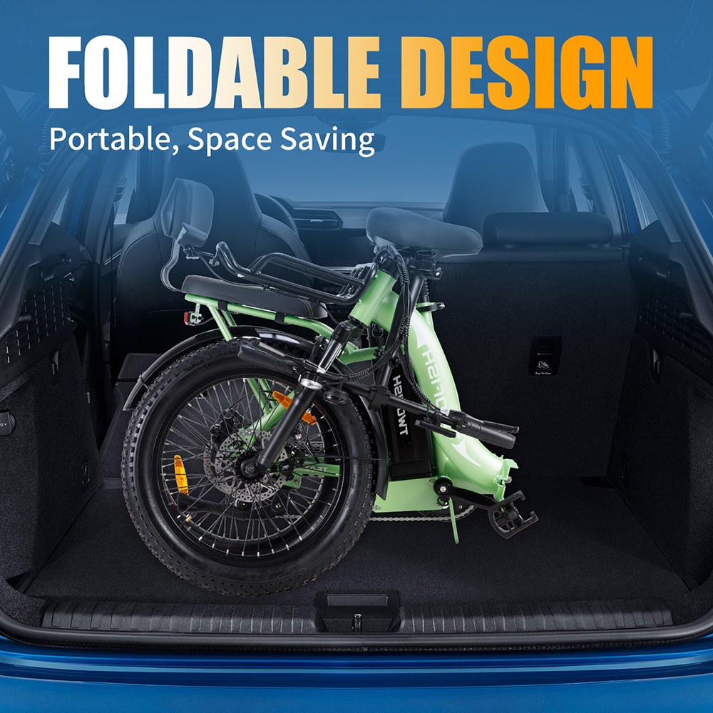 TWOFISH TF02 Electric Bike, 250W Motor, 36V 17.8Ah Battery, 20*4 inch Tires, 25km/h Max Speed, 100km Range, Mechanical Disc Brakes, Front Fork Suspension, 7-speed - Green