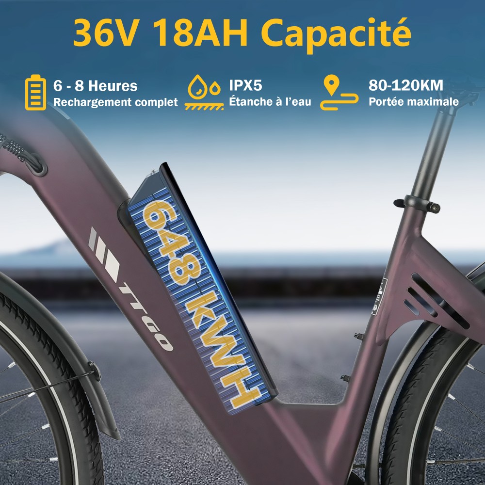 TTGO C3 SE Vélo électrique, moteur 250W, batterie 36V 18Ah, pneus de 28 pouces, vitesse maximale de 25 km/h, autonomie maximale de 120 km, freins à disque mécaniques, fourche à suspension avant, Shimano 7 vitesses - Violet