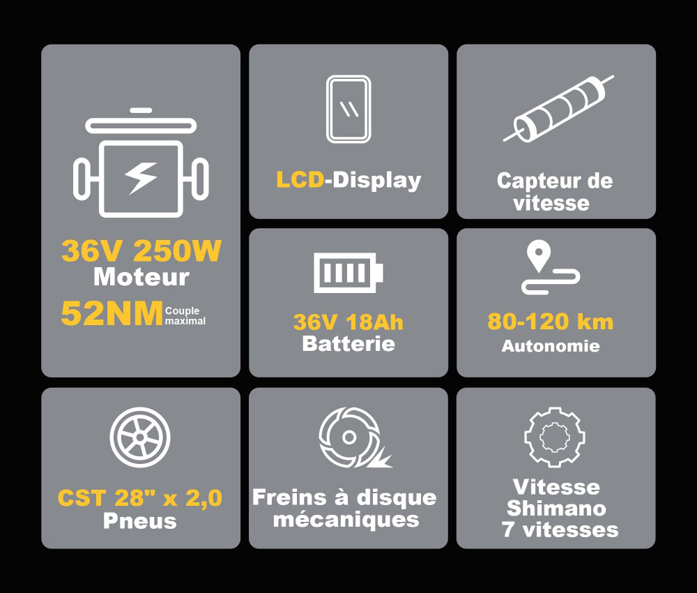 TTGO C3 SE Vélo électrique, moteur 250W, batterie 36V 18Ah, pneus de 28 pouces, vitesse maximale de 25 km/h, autonomie maximale de 120 km, freins à disque mécaniques, fourche à suspension avant, Shimano 7 vitesses - Violet