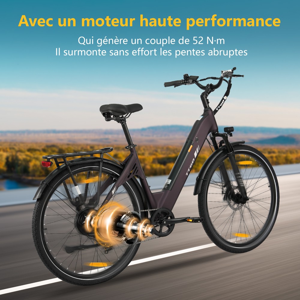 TTGO C3 SE Vélo électrique, moteur 250W, batterie 36V 18Ah, pneus de 28 pouces, vitesse maximale de 25 km/h, autonomie maximale de 120 km, freins à disque mécaniques, fourche à suspension avant, Shimano 7 vitesses - Violet