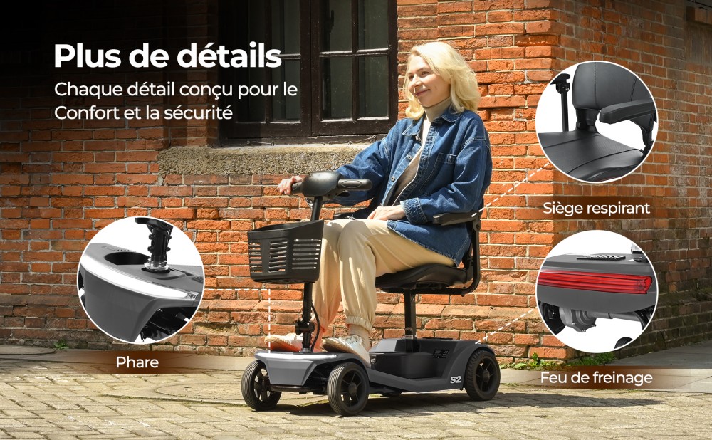 Sweetrich S2 Scooter de mobilité, moteur 250W, batterie 24V 12Ah, vitesse maximale de 6 km/h, autonomie de 15 km - Noir