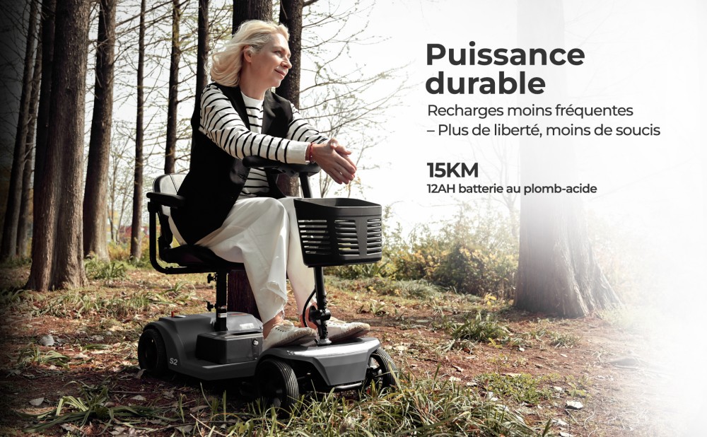 Sweetrich S2 Scooter de mobilité, moteur 250W, batterie 24V 12Ah, vitesse maximale de 6 km/h, autonomie de 15 km - Noir