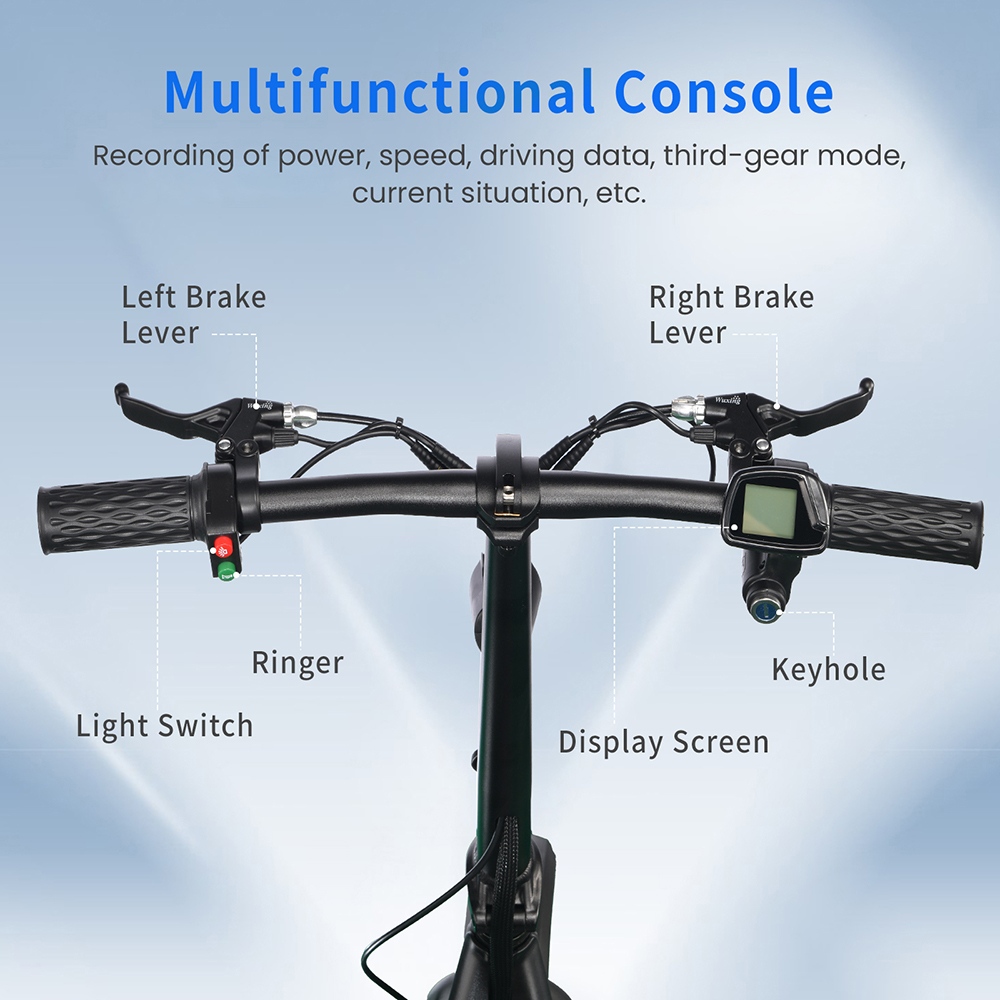 TWOFISH M5 ELITE Electric Scooter, 500W Motor, 48V 13Ah Battery, 14-inch Tires, 45km/h Max Speed, 30km Range, Dual Disc Brake, Dual Front & Rear Suspension