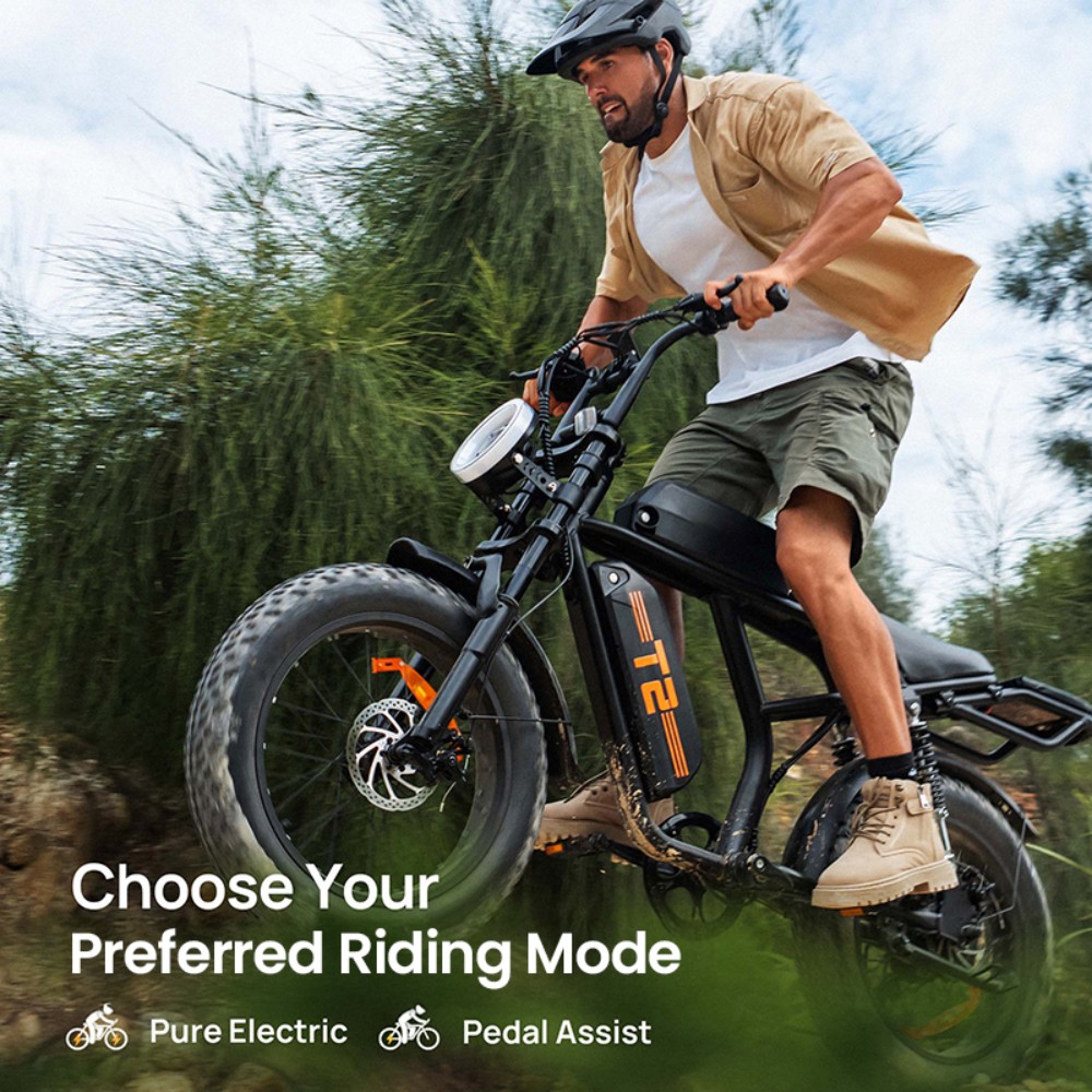 URLIFE T2 Electric Bike, 500W Motor, 48V 15.6Ah Battery, 20*4.0 inch Tires, 25km/h Max Speed, 160km Range, Dual Disc Brakes, Full Suspension, Shimano 7-speed - Brown