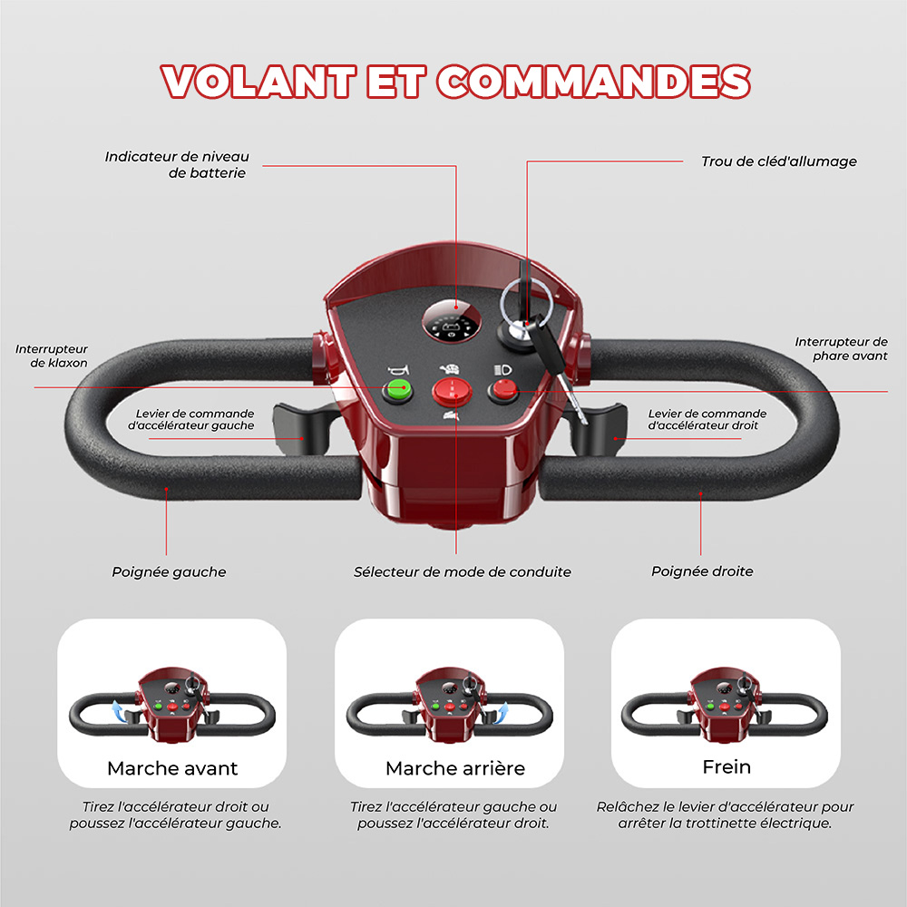 iScooter X02 Scooter de mobilité, moteur 300 W, batterie 24 V 12 Ah, vitesse maximale 8 km/h, autonomie 25 km, scooter électrique 4 roues avec siège pivotant et frein électromagnétique, charge maximale 136 kg